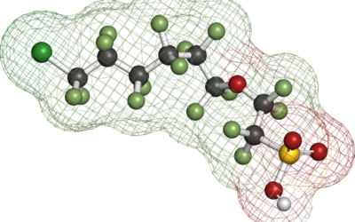 PFAS in ons bloed en kraanwater: toch blijft Vlaamse regering problemen minimaliseren