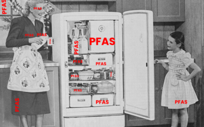 Hoe de PFAS-industrie ons vergiftigt en via lobby’s het PFAS-verbod omzeilt