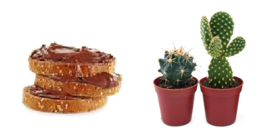 Neutr-on | Onafhankelijke vakbond